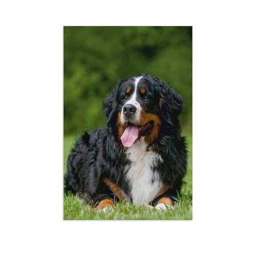 1000 Stück Puzzle，Berner Sennenhund，Erwachsene Kinder Papier Spielzeug Lernspiel（38x26cm）-AP20 von YYHMKBYY