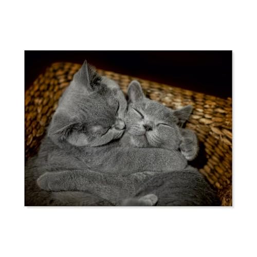 1000 Stück Puzzle，Britisch Kurzhaar，Erwachsene Kinder Papiers pielzeug Lernspiel（50x70cm）-AQ64 von YYHMKBYY