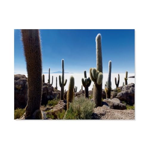 1000 Stück Puzzle，Isla Incahuasi im Salar de Uyuni, Bolivien，Erwachsene Kinder Papier Spielzeug Lernspiel（38x26cm）-AS85 von YYHMKBYY