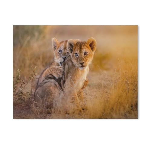 1000 Stück Puzzle，Löwenjungen Spielen，Erwachsene Kinder Karton s pielzeug Lernspiel（38x26cm-359 von YYHMKBYY