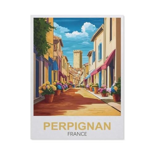 1000 Stück Puzzle，Perpignan Frankreich，Erwachsene Kinder Holz Spielzeug Lernspiel（75x50cm）-FC70 von YYHMKBYY
