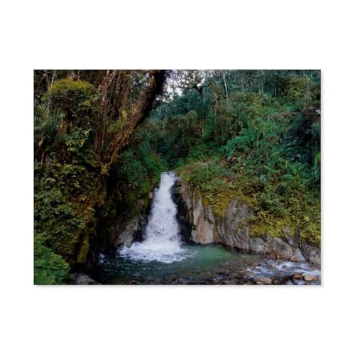 1000 Stück Puzzle，Regenwald bei Aguas Calientes, Peru，Erwachsene Kinder Papiers pielzeug Lernspiel（38x26cm）-AS83 von YYHMKBYY
