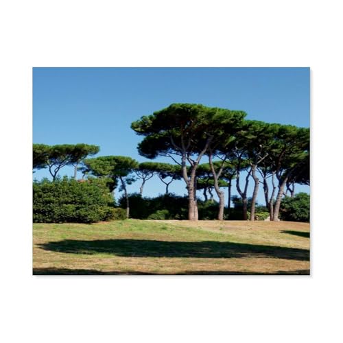 1000 Stück Puzzle，Rom,Pinien im Park，Erwachsene Kinder Holzs pielzeug Lernspiel（75x50cm）-AP91 von YYHMKBYY