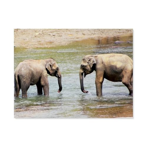 1000 Stück Puzzle，Tiere，Elephanten，Erwachsene Kinder Papiers pielzeug Lernspiel（38x26cm）-AP18 von YYHMKBYY