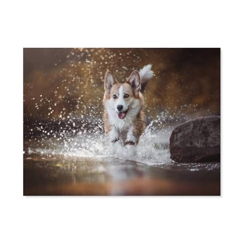 1000 Stück Puzzle，Wasser-Aktion mit der Welsh Corgi Molly，Erwachsene Kinder Holz Spielzeug Lernspiel（75x50cm）-AO47 von YYHMKBYY