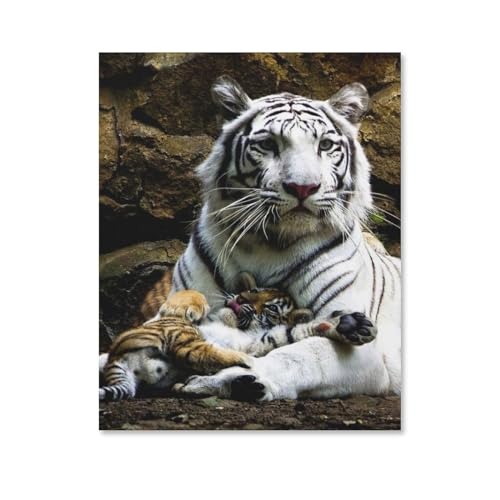 1000 Stück Puzzle，Weißer Tiger Baby-Tiger，Erwachsene Kinder Holz Spielzeug Lernspiel(75x50cm-E87 von YYHMKBYY