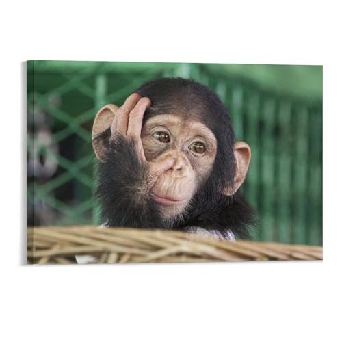 1000 Stücke，Schimpansengesicht，Erwachsene kreative Geschenk-Dekomprimierung Puzzlen Cartoon Lernspielzeug for Kinder-Tagesgeschenke,Holzpuzzle（75x50cm）-165 von YYHMKBYY