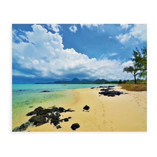 1000 Teile，Mauritius，Jigsaw Fun Game Spielzeug Lernspielzeug Für Erwachsene（38x26cm）-AX24 von YYHMKBYY