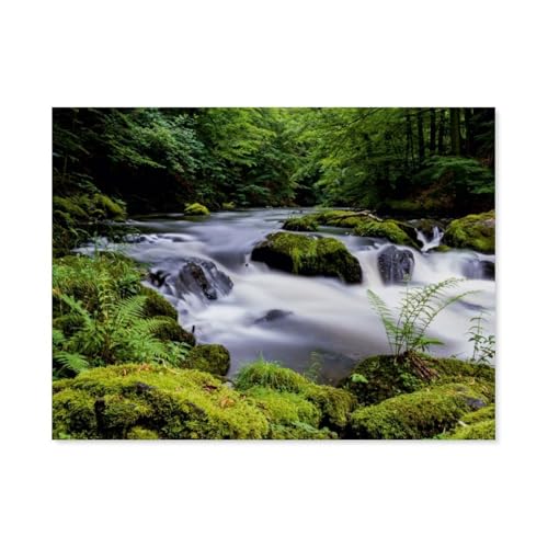 1000 Teile，Sommertag im Bodetal bei Thale im Harz，Jigsaw Fun Game Spielzeug Lernspielzeug Für Erwachsene（75x50cm）-AV56 von YYHMKBYY