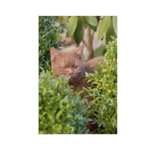 1000 Teile Puzzle，Britisch Kurz，Für Kinder Und Erwachsene Papier Personalisiertes Puzzle-Spaß-Spiel（38x26cm）-AV39 von YYHMKBYY