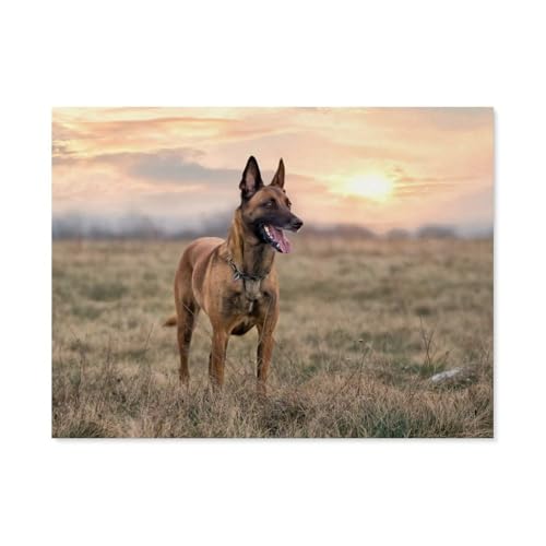 1000Pcs，Der Malinois，Erwachsenen Dekompression Spiel Puzzle Studenten Spielzeug Für Kinder Weihnachten Geburtstagsgeschenke（38x26cm）-AO51 von YYHMKBYY