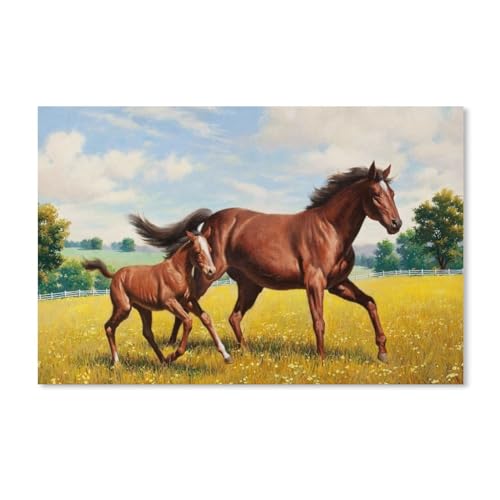 2 Pferde Spielen auf dem Bauernhof，Papier Puzzle 1000 Teile Spielzeug Für Erwachsene Dekompressionsspiel（38x26cm）-G85 von YYHMKBYY