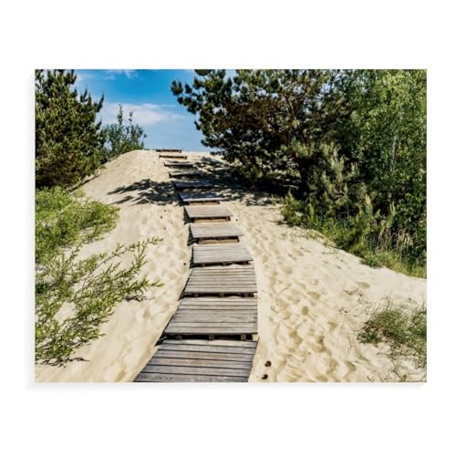 Aufstieg zur Hohen Düne，Für Erwachsene Familie Stress Relief Puzzle Spielzeug - Familie Spaß Herausforderung Spielzeug - 1000 Teile Puzzle（50x70cm）-AW66 von YYHMKBYY