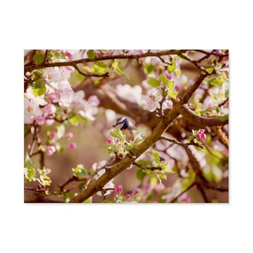 Blaumeise im Frühling，1000 Teile, Puzzle Aus Papier Für Erwachsene Und Kinder Ab 12 Jahren, Lernspielzeug（50x70cm）-AV64 von YYHMKBYY