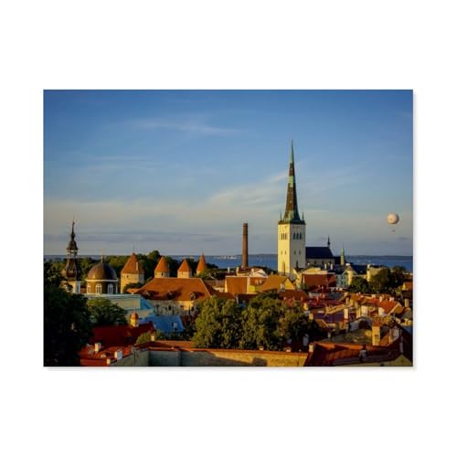 Blick über die Dächer der unteren Altstadt mit St. Olaikirche，Puzzle 1000 Teile Erwachsene Kinde Spaß Lernspielzeug Geschenke（50x70cm）-AQ51 von YYHMKBYY