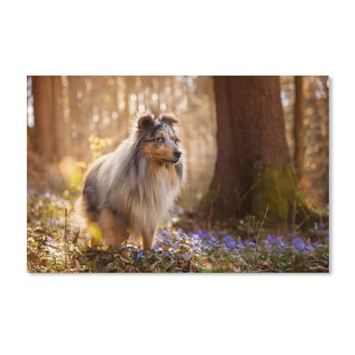 Blumen Border Collie Landschaft，Puzzles 1000 Teile für Erwachsene, Klassische Puzzle Jungen Mädchen Puzzle für Kinder Teenager Lernspiel Spielzeug（38x26cm）-H52 von YYHMKBYY