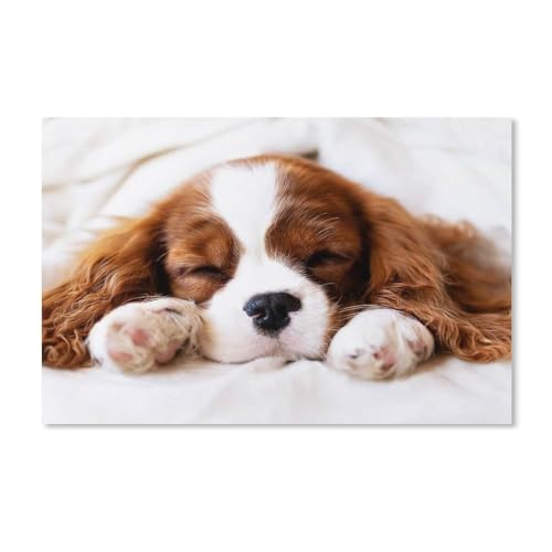 Cavalier King Charles Spaniel，Puzzle 1000 Teile,Intellektuelle Entwicklung Pädagogisches Nach Hause Interessante Dekompression Brain Challenge Puzzle Für Jugendliche Kinder(75x50cm-G17 von YYHMKBYY