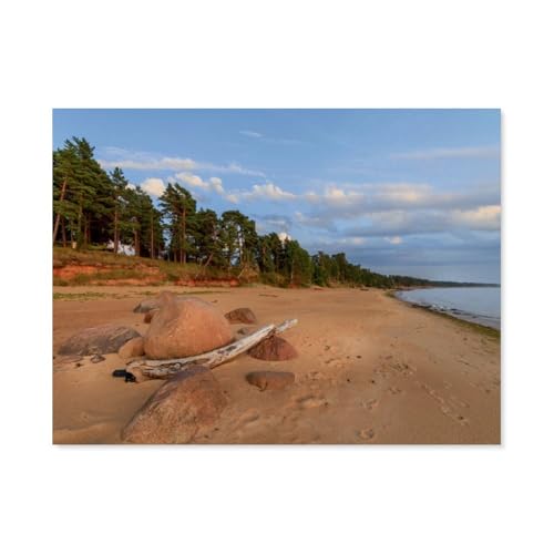 Das Baltikum/The Baltic States，1000 Teile, Puzzle Aus Holz Für Erwachsene Und Kinder Ab 12 Jahren, Lernspielzeug（75x50cm）-AY16 von YYHMKBYY