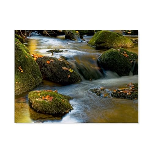 Die Kleine Ohe plätschert leise vor Sich hin.，1000 Teile, Puzzle Aus Holz Für Erwachsene Und Kinder Ab 12 Jahren, Lernspielzeug（75x50cm）-BA26 von YYHMKBYY