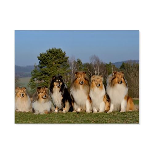 Erwachsene Puzzle 1000 Stück DIY Holz pielzeug，Faszination Collie，Creative Einzigartiges Geschenk Persönlichkeit Spiel Erwachsener Kind Puzzle Spielzeug（75x50cm）-AP30 von YYHMKBYY