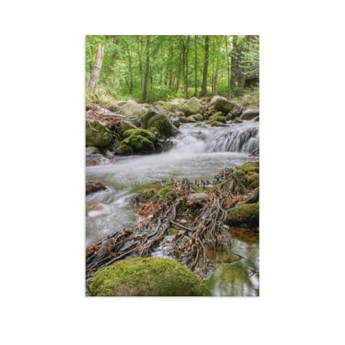 Erwachsene Puzzle 1000 Stück DIY Holz pielzeug，Harz,Im Ilsetal，Creative Einzigartiges Geschenk Persönlichkeit Spiel Erwachsener Kind Puzzle Spielzeug（75x50cm）-AR49 von YYHMKBYY