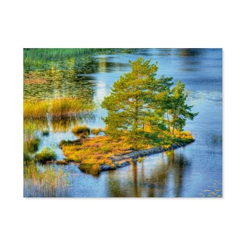 Erwachsene Puzzle 1000 Stück DIY Holz pielzeug,Insel mit Bäumen in Schwedens größtem See - dem Vänern,Creative Einzigartiges Geschenk Persönlichkeit Spiel Erwachsener Kind Puzzle Spielzeug-AS95 Erwachsene Puzzle 1000 Stück DIY Holz pielzeug,Insel mit Bäumen in Schwedens größtem See - dem Vänern,Creative Einzigartiges Geschenk Persönlichkeit Spiel Erwachsener Kind Puzzle Spielzeug-AS95 von YYHMKBYY