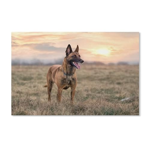 Erwachsene und Kinder Puzzle 1000 Teile Puzzle，Die Malinois，einfaches Puzzle Spiel Rollenpuzzle Lernspiel Spielzeug Familie Dekoration(75x50cm-G21 von YYHMKBYY