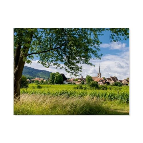 Erwachsene und Kinder Puzzle 1000 Teile Puzzle，Mittelbergheim，einfaches Puzzlespiel Rollenpuzzle Lernspiel Spielzeug Familie Dekoration（75x50cm）-AR27 von YYHMKBYY