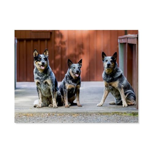 Erwachsene und Kinder Puzzle 1000 Teile Puzzle，Spaziergang am See Australian Cattle Dogs，einfaches Puzzlespiel Rollenpuzzle Lernspiel Spielzeug Familie Dekoration（38x26cm）-AR100 von YYHMKBYY