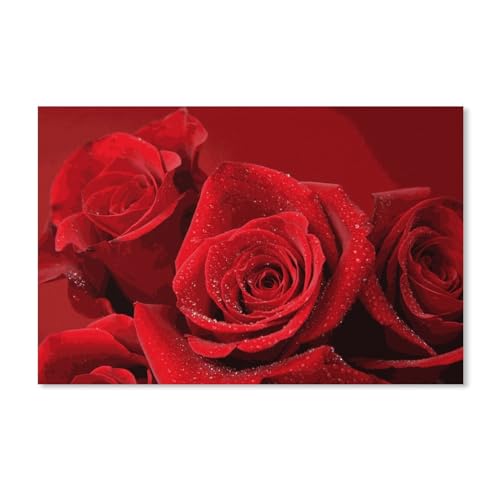 Erwachsene und Kinder Puzzle 1000 Teile Puzzle，rote Rose，einfaches Puzzle Spiel Rollenpuzzle Lernspiel Spielzeug Familie Dekoration(75x50cm-E75 von YYHMKBYY