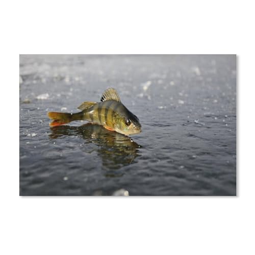 Fisch auf EIS，1000 Teile Puzzle Erwachsene Dekompressionsspielzeug Erwachsene Ideales Pädagogisches Puzzle Erwachsene Spiele Geschenk(75x50cm-E70 von YYHMKBYY