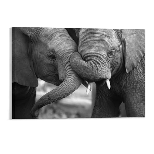 Foto von Zwei Elefanten, die interagieren，Puzzle 1000 Teile für Erwachsene, Klassische Puzzle Teenager Jungen Mädchen Puzzle Puzzles Spiele Pädagogisches Geschenk Home Decor（52x38cm）-171 von YYHMKBYY
