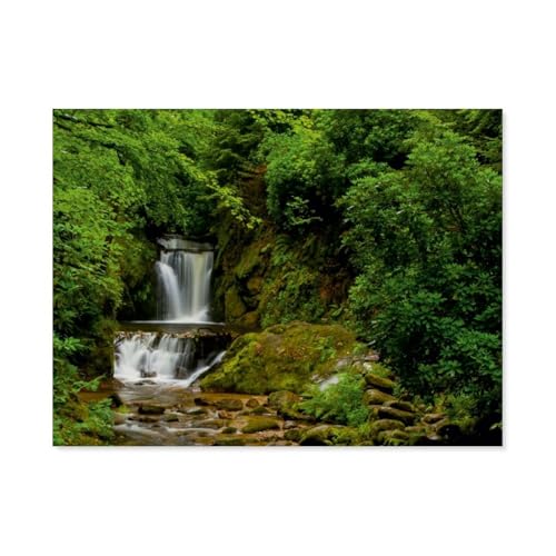 Geroldsauer Wasserfall，1000 Teile, Puzzle Aus Papier Für Erwachsene Und Kinder Ab 12 Jahren, Lernspielzeug（50x70cm）-BA5 von YYHMKBYY