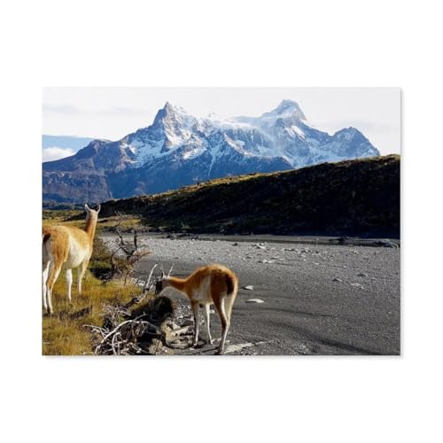 Guanakos vor den Torres del Paine，1000 Teile, Puzzle Aus Holz Für Erwachsene Und Kinder Ab 12 Jahren, Lernspielzeug（75x50cm）-AY79 von YYHMKBYY