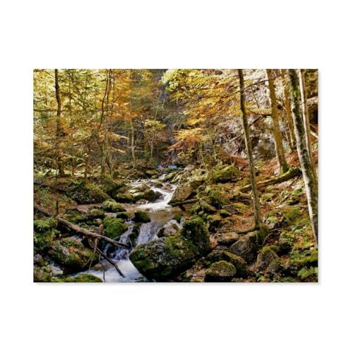 Hartelsgraben，Puzzle 1000 Teile Papier Puzzle Erwachsene Kinder Lernspielzeug Familie Dekompressionsspiel（50x70cm）-AR14 von YYHMKBYY