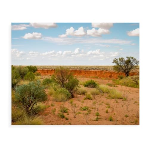 Holz Puzzle 1000 Pieces，Australiens Outback，Adult Toys Dekompressionsspiel（75x50cm）-AX20 von YYHMKBYY