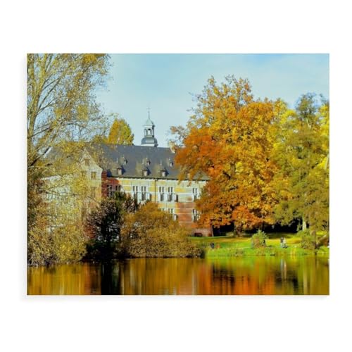 Holz Puzzle 1000 Pieces，Schloss Reinbek，Adult Toys Dekompressionsspiel（75x50cm）-AW36 von YYHMKBYY