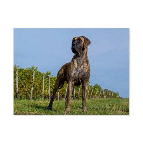 Holz Puzzle 1000 Stück，Deutsche Dogge，Puzzles Lernspielzeug Für Erwachsene Geburtstagsgeschenk（75x50cm）-AP19 von YYHMKBYY
