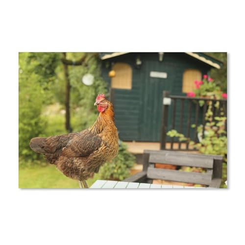 Holz Puzzle 1000 Stück，Erdmännchen，Puzzles Lernspielzeug Für Erwachsene Geburtstagsgeschenk(75x50cm von YYHMKBYY