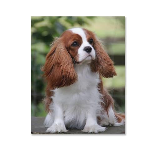 Holz Puzzle 1000 Stück，Hund Cavalier King Charles Spaniel，Puzzles Lernspielzeug Für Erwachsene Geburtstagsgeschenk(75x50cm-E86 von YYHMKBYY