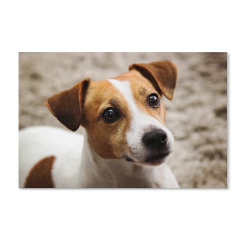 Holz Puzzle Puzzle 1000 Stück，Jack Russell Terrier Tier，Puzzles Lernspielzeug Für Erwachsene Geburtstagsgeschenk Home Decoration(75x50cm von YYHMKBYY