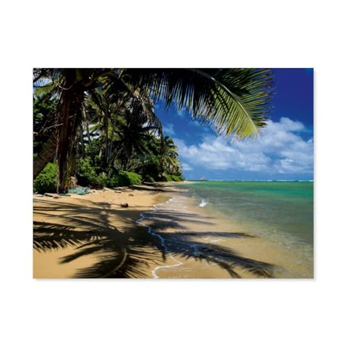 Holz Puzzle Puzzle 1000 Teile，Hawaii Beaches - Die schönsten Strände im Pazifik，Erwachsene Klassische Pädagogisches Spielzeug Kinder Lernspiel Herausforderndes Puzzles（75x50cm）-AZ5 von YYHMKBYY