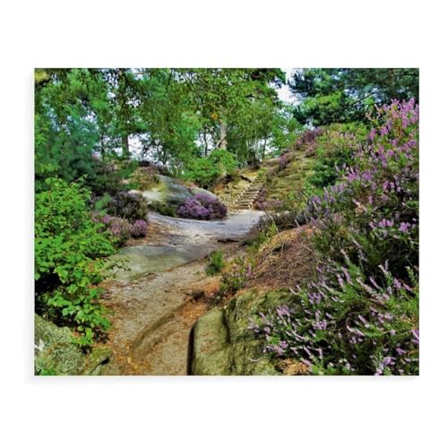 Holz Puzzle Puzzle 1000 Teile，Heideblüte auf dem Rauenstein，Erwachsene Klassische Pädagogisches Spielzeug Kinder Lernspiel Herausforderndes Puzzles（75x50cm）-AW95 von YYHMKBYY