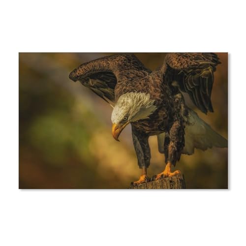 Kinder Holz Puzzle 1000 Teile，Majestätischer Weißkopfseeadler，Modern Zuhause Dekoration Einzigartiges Geschenk(75x50cm-G38 von YYHMKBYY