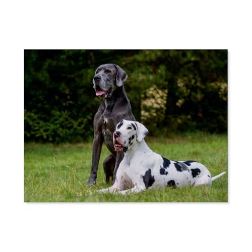 Klassisches Puzzle 3D Puzzle DIY Kit Papier Spielzeug Einzigartiges Geschenk，Deutsche Dogge，Klassisches Puzzle 3D Puzzle DIY Kit Papier Spielzeug Einzigartiges Geschenk（38x26cm）-AP44 von YYHMKBYY