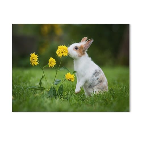 Kleines neugieriges Kaninchen,Bauernhof-Tiere,1000 Stück Erwachsene Karton Landschaft Puzzles Für Kinder Lernspielzeug Geschenke(38x26cm-279 Kleines neugieriges Kaninchen,Bauernhof-Tiere,1000 Stück Erwachsene Karton Landschaft Puzzles Für Kinder Lernspielzeug Geschenke(38x26cm-279 von YYHMKBYY