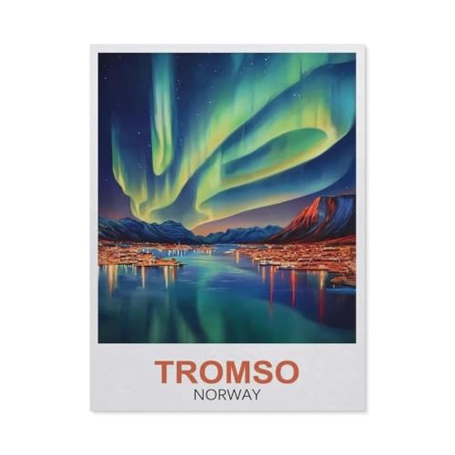 Papier-Puzzle, Tromsø Norwegen, Lernspielzeug für Erwachsene, Geburtstagsgeschenk, 50 x 70 cm, EZ98, 1000 Stück Papier-Puzzle, Tromsø Norwegen, Lernspielzeug für Erwachsene, Geburtstagsgeschenk, 50 x 70 cm, EZ98, 1000 Stück von YYHMKBYY