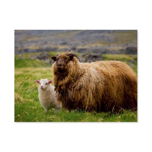 Papier Puzzle Puzzle 1000 Teile，Beautiful Nature - Iceland，Erwachsene Klassische Pädagogisches Spielzeug Kinder Lernspiel Herausforderndes Puzzles（38x26cm）-AY84 von YYHMKBYY