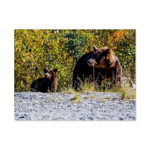 Papier Puzzle Puzzle 1000 Teile，Grizzlys am Straßenrand，Erwachsene Klassische Pädagogisches Spielzeug Kinder Lernspiel Herausforderndes Puzzles（38x26cm）-AX100 von YYHMKBYY