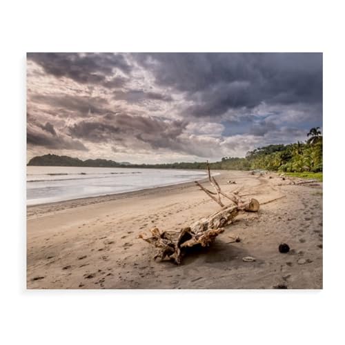Papier Puzzle Puzzle 1000 Teile，Playa Samara，Erwachsene Klassische Pädagogisches Spielzeug Kinder Lernspiel Herausforderndes Puzzles（38x26cm）-AX58 von YYHMKBYY